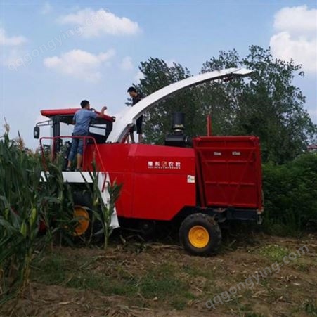 豫东农牧玉米秸秆青储机械-玉米秸秆青储收获机-甘肃-青贮机收割效果
