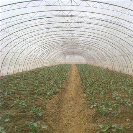 厂家供应 园艺防虫网 防虫网 蔬菜防虫网 采购大棚防虫网 可定制