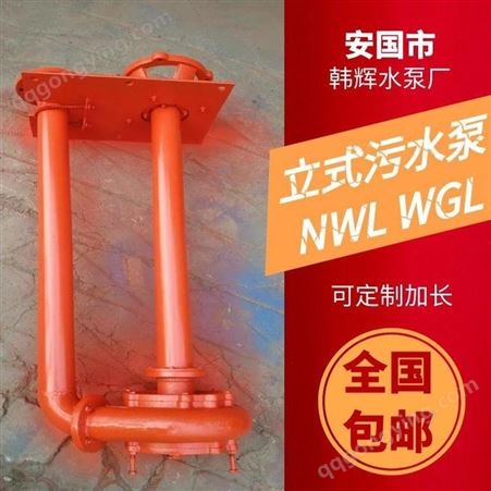 定制双管液下排污泵 100NWL立式污水泵 环保污水处理泵 韩辉