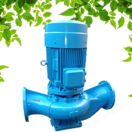 立式管道泵 ISG50-200管道泵 立式管道离心泵 立式增压泵