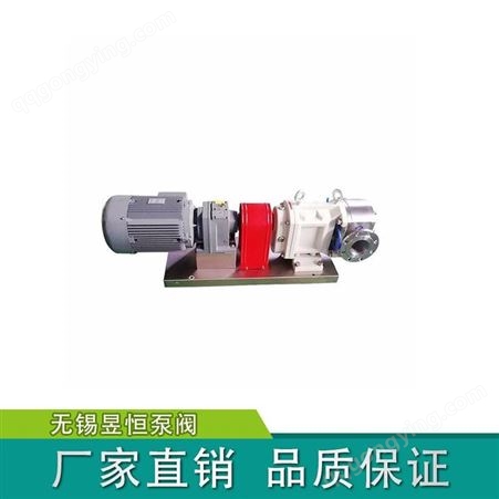 天津转子泵,不锈钢转子泵,高粘度转子泵制造