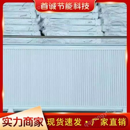 电暖器 对流式电暖器 电暖器价格 品质保障