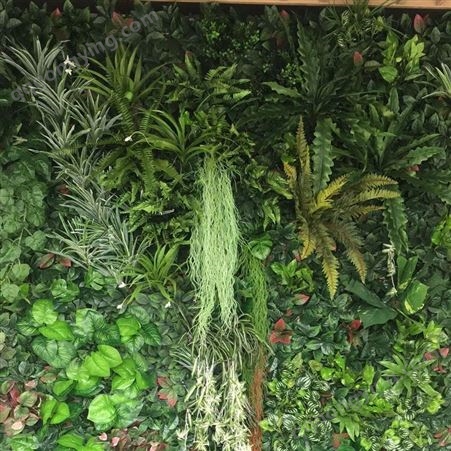 苔藓植物墙商家
