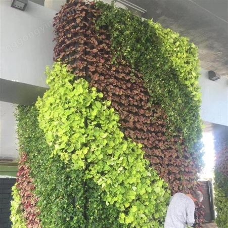 苔藓植物墙做法