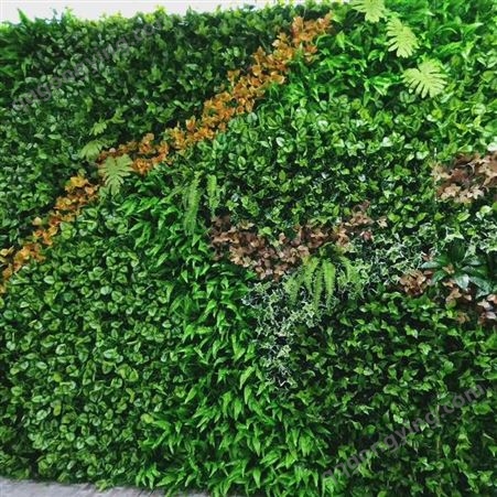 苔藓植物墙做法