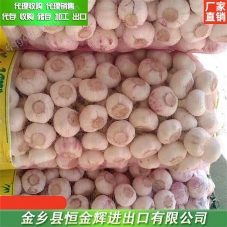 台州大蒜代收厂家 供应保鲜冷藏大蒜 杂交蒜米