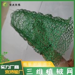 果洛三维植被网单价 绿网子