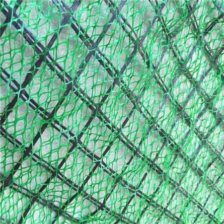 巢湖三维植被网施工工序 三维固土网