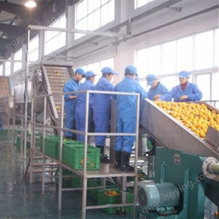 上海嘉备 小型酵素生产设备 番茄酱加工生产线 小型番茄酱生产设备