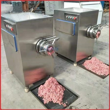 丹潍机械 立式冻肉绞肉机 食品厂用绞肉设备 冷冻鱼虾绞肉机