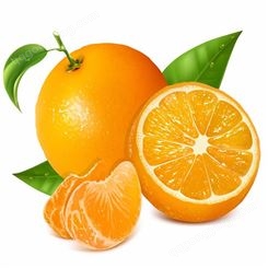 橘子罐头 犁罐头  椰果罐头_企业生产供应