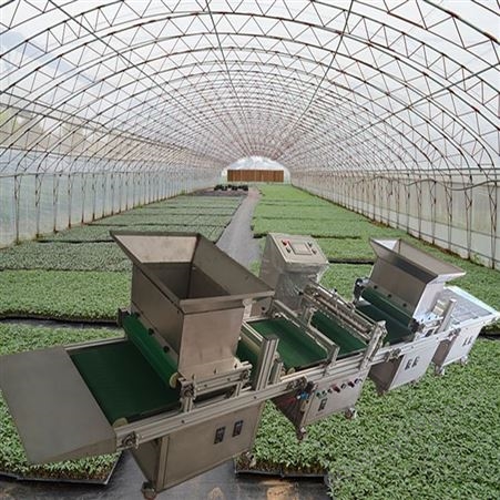 精密精量蔬菜穴盘育苗点种机 自动穴盘育苗播种机批发工厂
