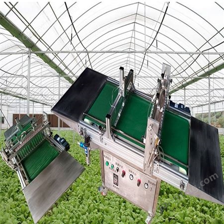 农场自动穴盘育苗播种机 配套穴盘输送机展示 蔬菜穴盘育苗机 生产厂家