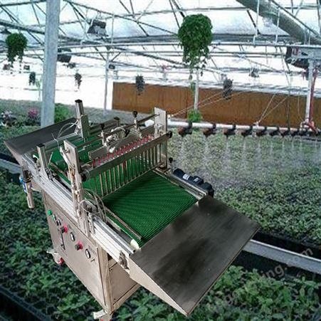 精密精量蔬菜穴盘育苗点种机 自动穴盘育苗播种机批发工厂