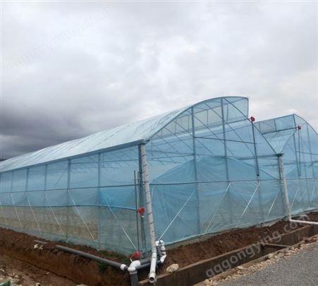 连栋智能玻璃温室 蔬菜花卉温室培育 保温好抗风雨
