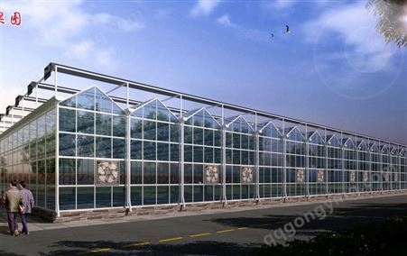 温室大棚 智能玻璃温室 透明颜色 花卉种植用 结构稳定