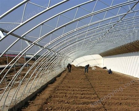 日光温室 利用太阳能 蔬菜花卉越冬栽培 保温好投资低节约能源