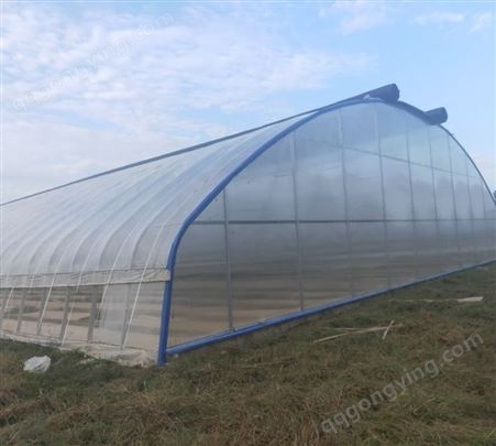 连栋温室 草莓种植大棚 采光效果好 阳光板覆盖设计合理
