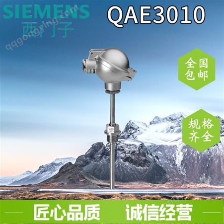 西门子浸入式温度传感器 QAE3010 3075
