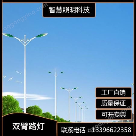 世腾批发LED6米7米8米市电路灯12米传统普通单杆双臂路灯