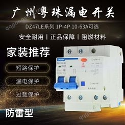 广州粤珠漏电保护器2P63A32a断路器带空气开关DZ47家用电闸漏保