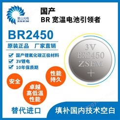 BR2450 -40℃低温纽扣电池  大容量防爆主板电池 3V纽扣一次性电池
