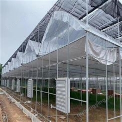 坤荣科技 温室大棚管厂 连栋日光温室大棚 芹菜种植温室