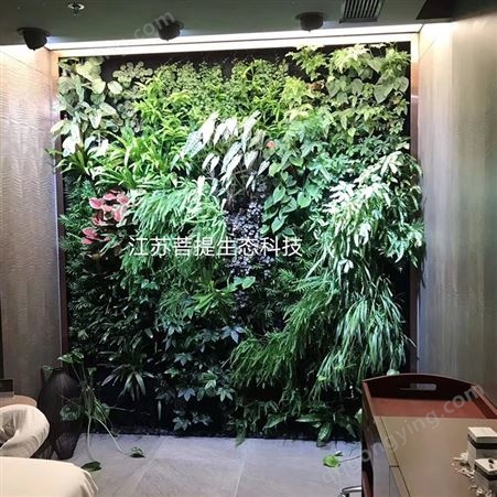 垂直真植物墙背景植物 装饰立体生态墙绿植墙