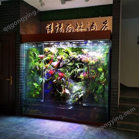超白玻璃鱼缸装饰植物景观 生态雨林缸景观草缸 室内雨林景观