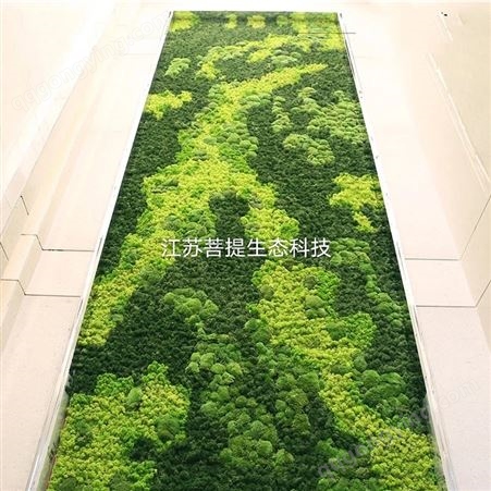 苔藓墙 干花背景墙鹿蕊藓植物墙 永生花青苔墙 装饰苔藓墙