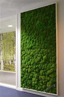 仿真苔蘚墻 仿真植物墻綠植墻塑料假草坪背景墻 室內景觀苔蘚草皮場景櫥窗造景
