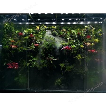 超白玻璃鱼缸装饰植物景观 生态雨林缸景观草缸 室内雨林景观
