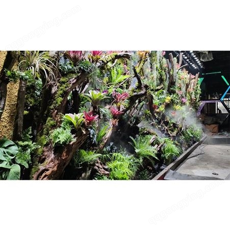 DIY雨林景观 生态缸造景套餐材料 植物水陆缸