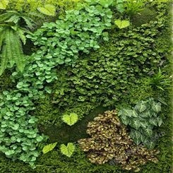 仿真植物墻 仿真綠植背景墻塑料假草坪草坪裝飾植物廠家