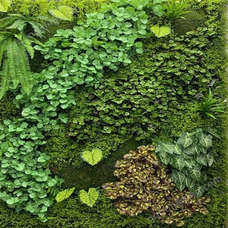 仿真植物墙 仿真绿植背景墙塑料假草坪草坪装饰植物厂家