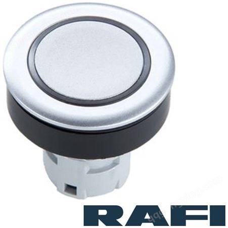 RAFI带灯按钮开关型号RAFIX银灰色1.30.090.082/0000