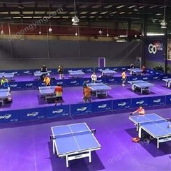西安乒乓球场地建设 乒乓球器材批发 乒乓球台生产厂家