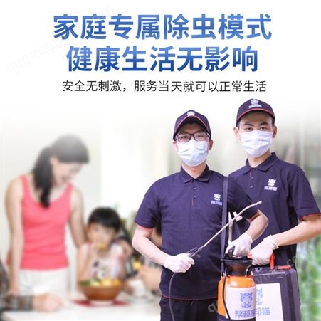 广州南沙区杀老鼠的方法 超市除老鼠 开水杀老鼠 灭鼠公司价格