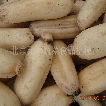 北京土豆胡萝卜清洗去皮机-去皮设备-元享机械