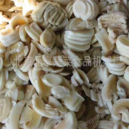 北京蘑菇切片芹菜切丝机-蔬菜切丝机-元享机械