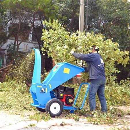 新晨果园修剪树枝粉碎机 汽油192猕猴桃枝条粉碎机 碎枝机