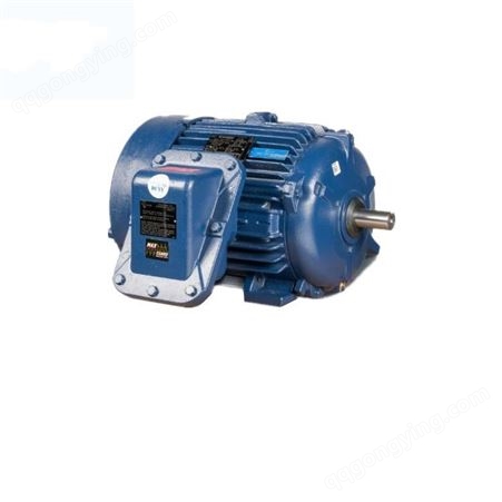 EY-2251-MK.0010 speck pumpen 泵（含电机）报价德国