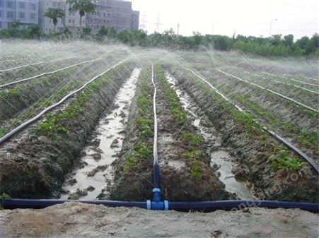 大量现货供应抗老化金雨达农田浇地输水带 2寸农业灌溉喷水软管 喷灌带