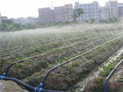 厂家现货供应抗老化6分1寸绿化喷水带 灌溉用PE输水软管金雨达