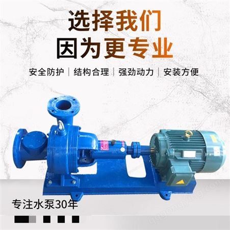 广州羊城水泵无堵塞纸浆泵 两相流浆泵LXL型造纸厂泵糖浆泵 抽浓浆泵