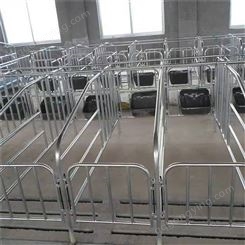 生产 养猪场限位栏 母猪定位栏 单体落地式单体栏
