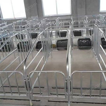 福立畜牧0.65m*10位 限位栏 畜牧产品 母猪定位栏  定做