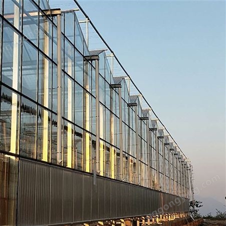 V96农业温室大棚 玻璃覆盖 光照充足防风 蔬菜花卉种植 鑫利丰