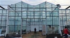 荷兰模式玻璃温室 骨架加工智能大棚 蔬菜花卉种植 鑫利丰