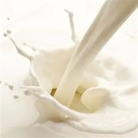 食品发酵无糖酸奶粉 用于酸牛奶酸乳豆奶膨化食品 丰有食品